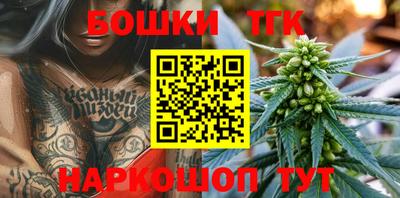 индика Кинель