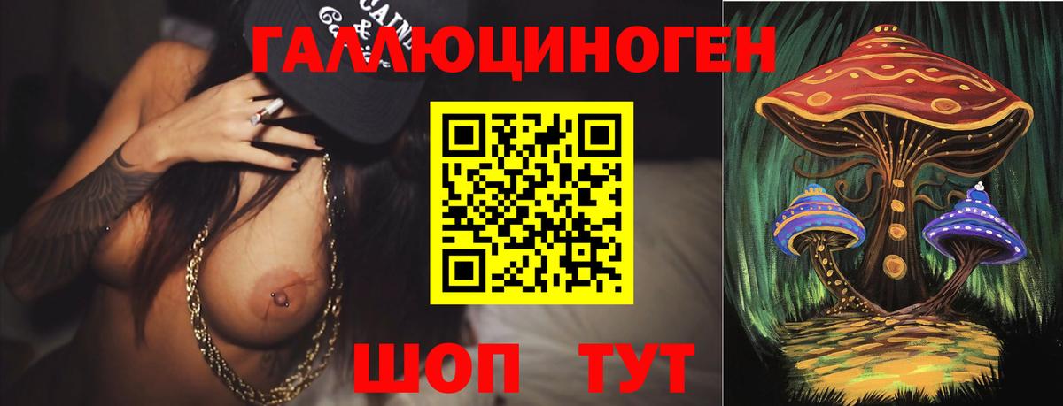 Псилоцибиновые грибы GOLDEN TEACHER  Вход с VPN  что такое наркотик  Благовещенск 